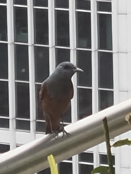 Photo credit: Andrew Spreadborough