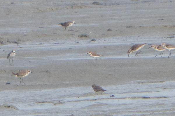 Photo credit: Jared Tan