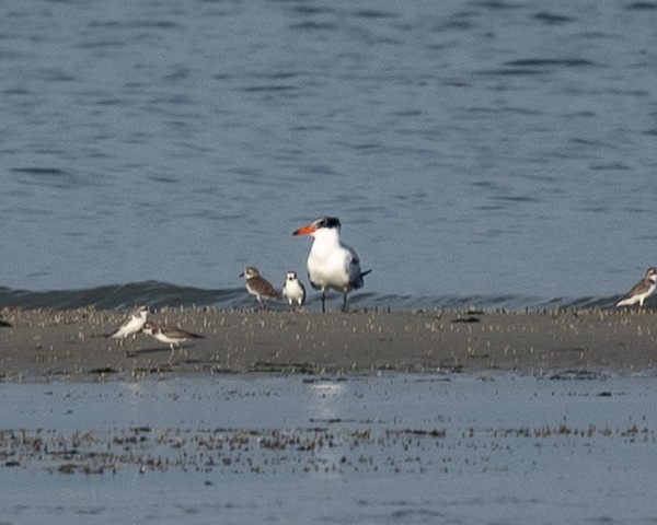 Photo credit: Ng Yan Ze