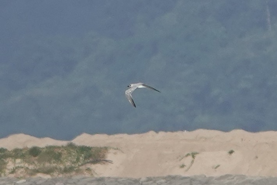 Photo credit: Raghav Narayanswamy