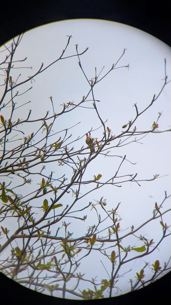 Photo credit: Yen Yi Tan