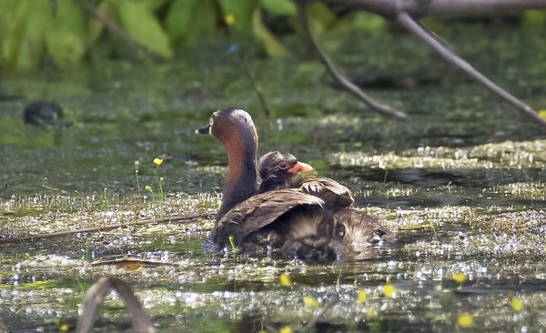 Photo credit: Yane Kang