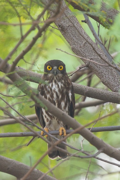 Photo credit: Francis Yap