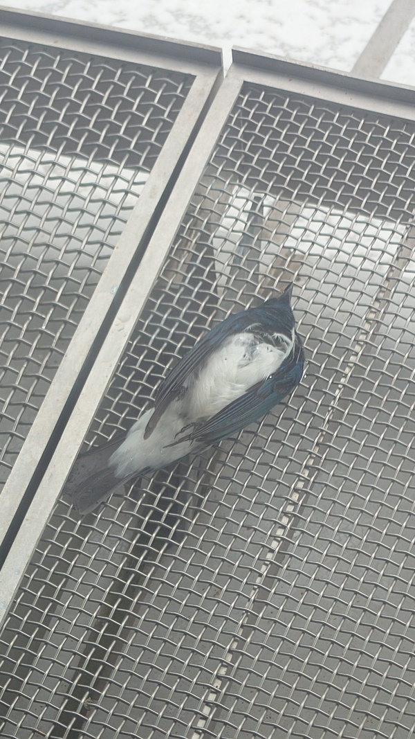 Photo credit: Chia Kar ling