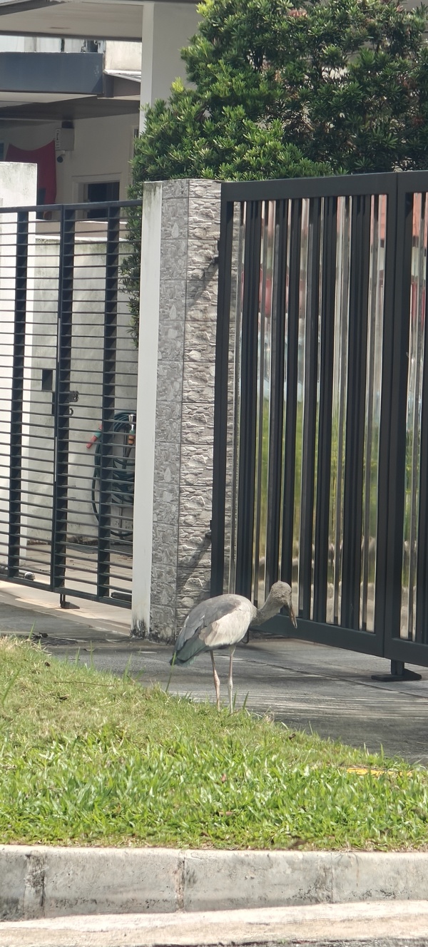 Photo credit: Tong Yen Hee