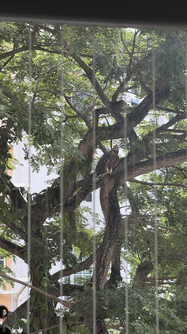 Photo credit: Natalie