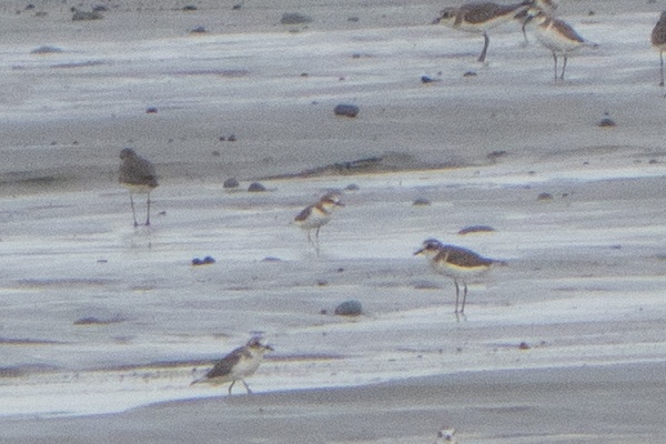 Photo credit: Jared Tan