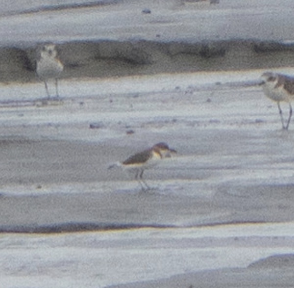 Photo credit: Jared Tan