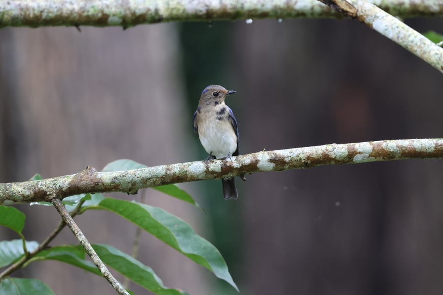 Photo credit: Moses Tang