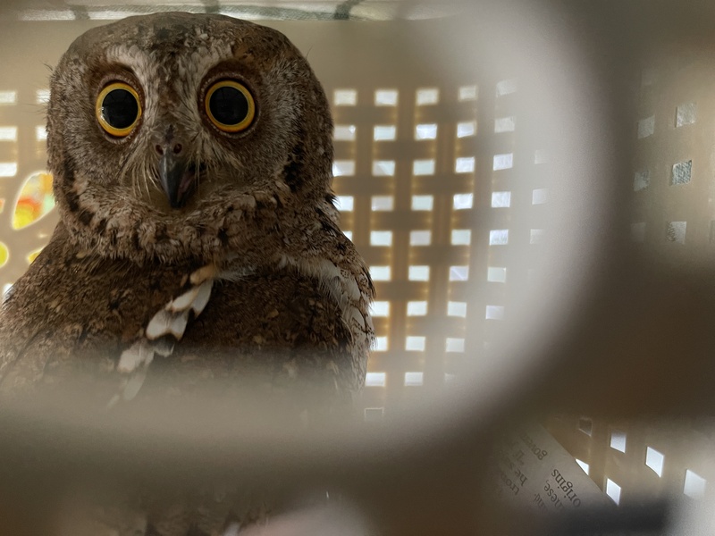 Photo credit: Lin Junpei, Nicholas