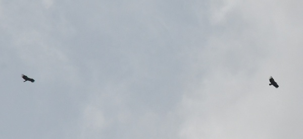 Photo credit: Mac Ng