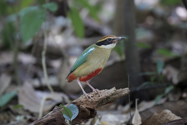 Photo credit: Yane kang