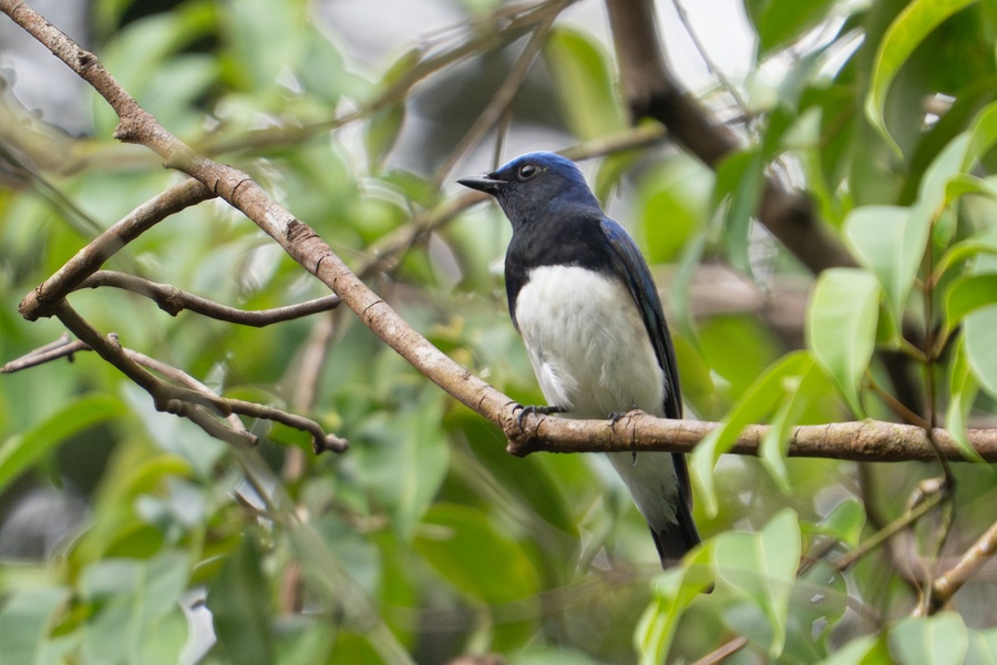 Photo credit: Jared Tan