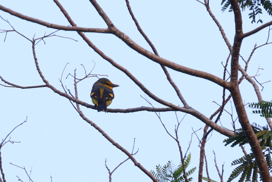 Photo credit: Kaeden Sim