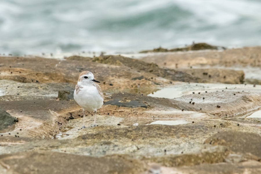 Photo credit: Leong Zhen Yan