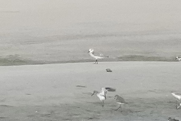 Photo credit: T. Ramesh