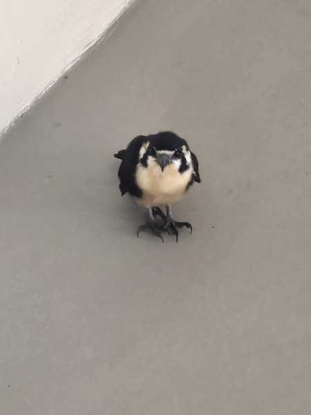 Photo credit: Iris Quah