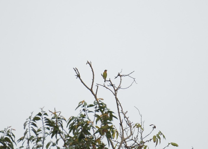 Photo credit: Keison