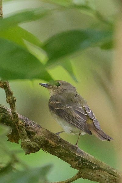 Photo credit: Francis Yap