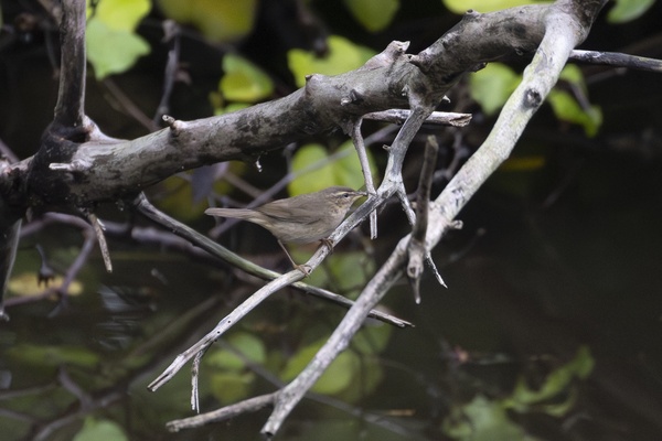 Photo credit: Wong Liang Zhong