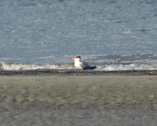 Photo credit: Ng Yan Ze