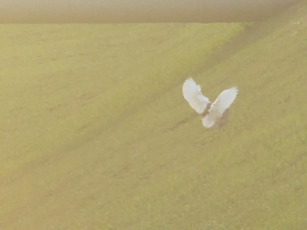 Photo credit: Raja Moorthy Karapaya