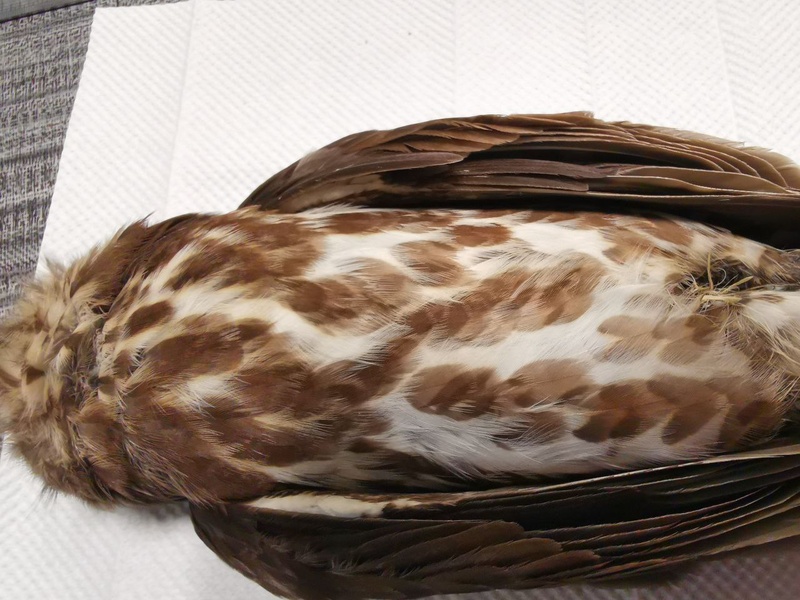 Photo credit: Yen Yi Tan