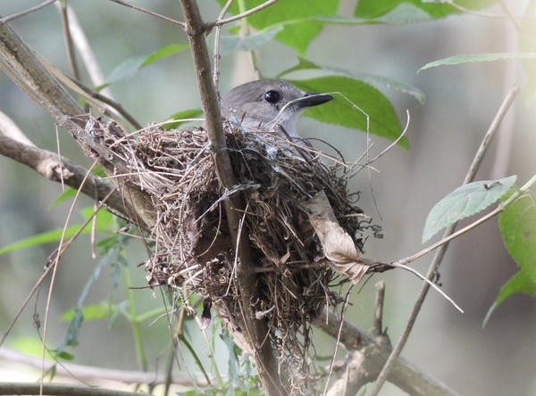 Photo credit: Joan Theng