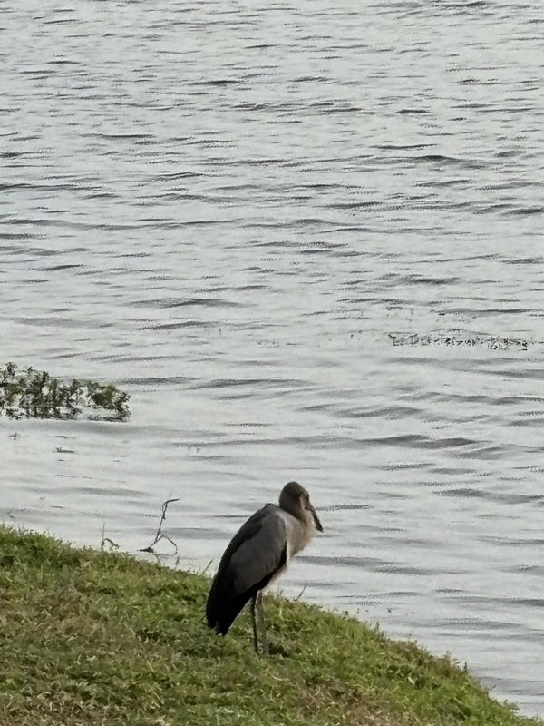 Photo credit: Nancy Mehrotra