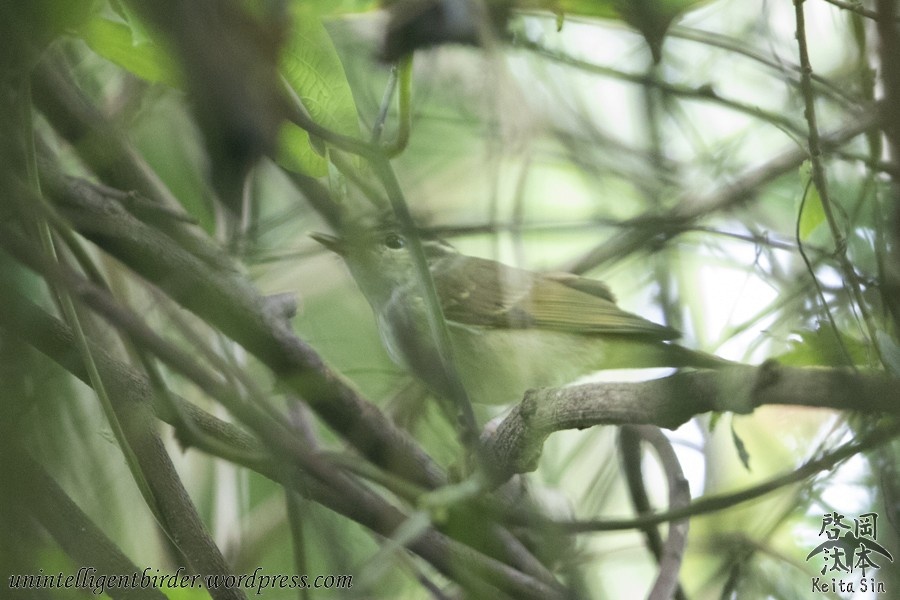 Photo credit: Okamoto Keita Sin