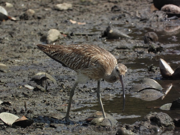 Photo credit: Samuel Ho