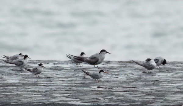 Photo credit: LEE CHIEN NIEN