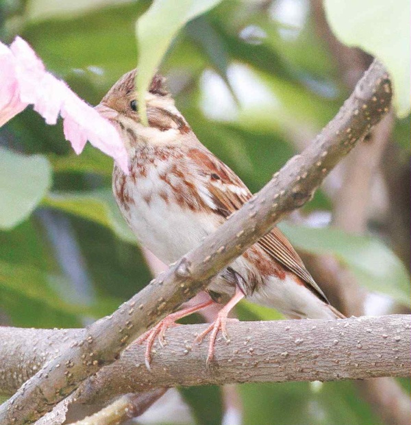 Photo credit: Oliver Farnworth