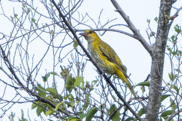 Photo credit: Jared Tan