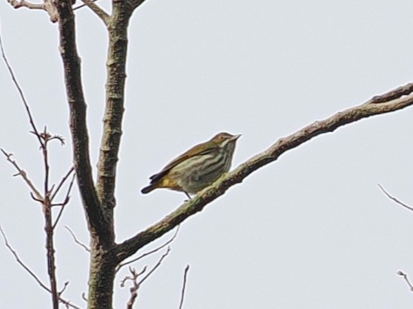 Photo credit: Jia Beier