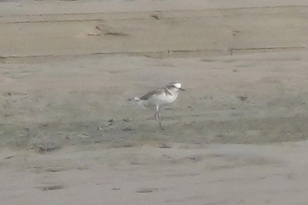 Photo credit: T.Ramesh