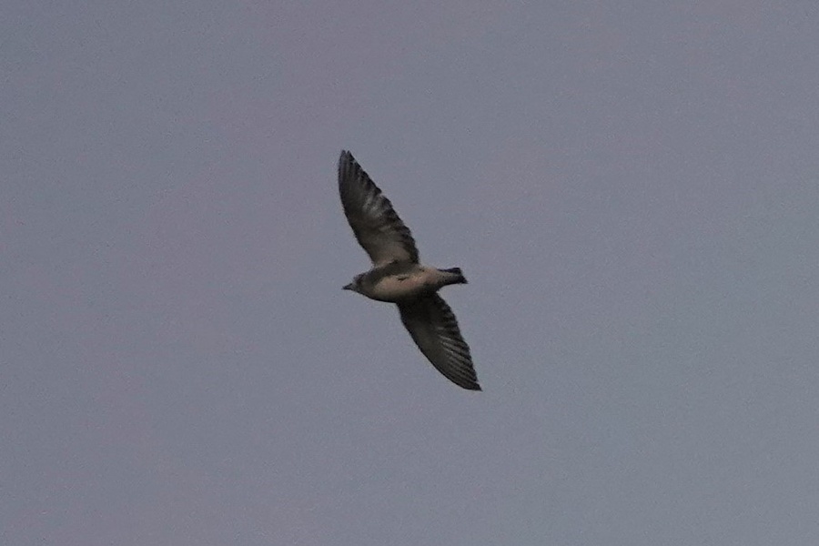 Photo credit: Raghav Narayanswamy