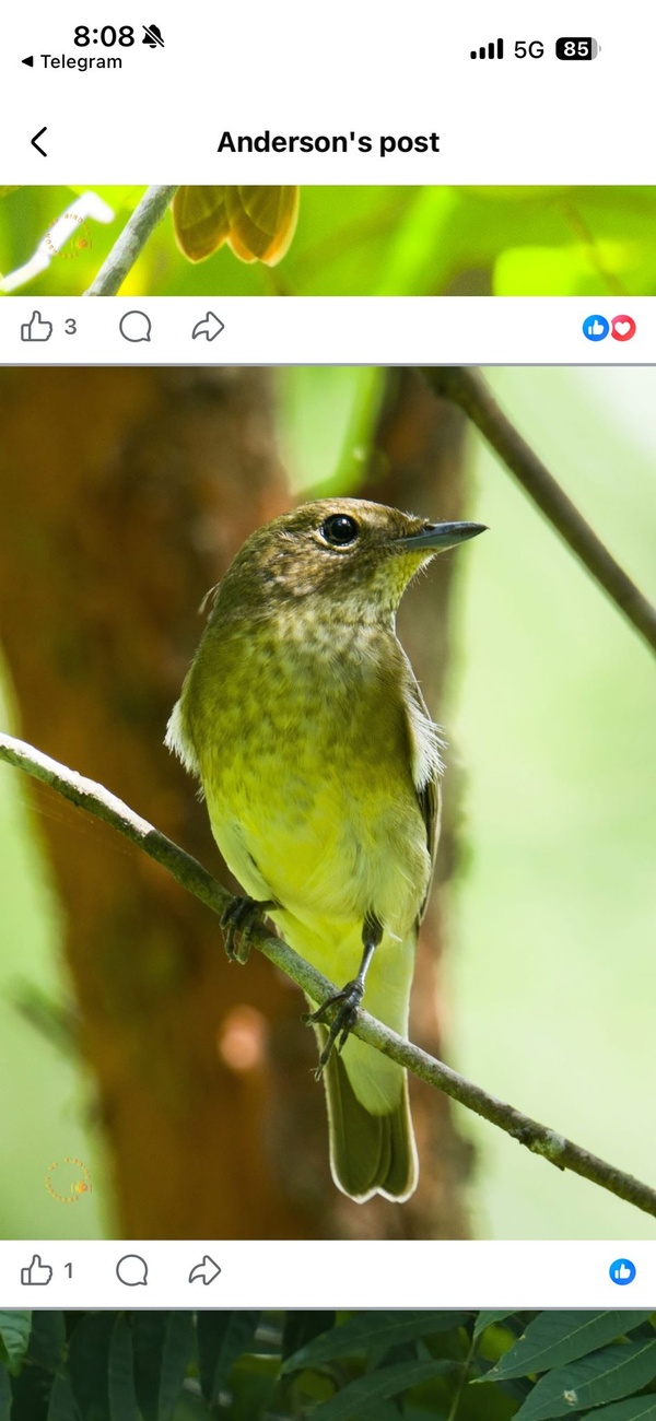 Photo credit: Anderson Ng