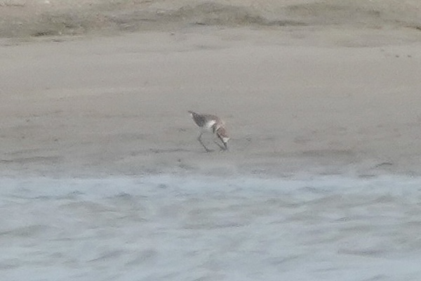 Photo credit: T.Ramesh