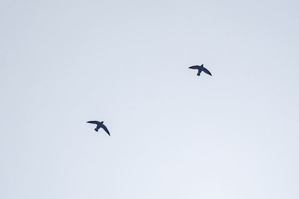 Photo credit: Ng Yan Ze