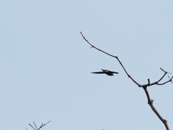 Photo credit: Mohamed Fazlin Bin Said Mohd