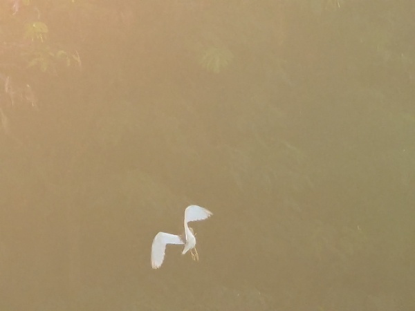 Photo credit: Raja Moorthy Karapaya