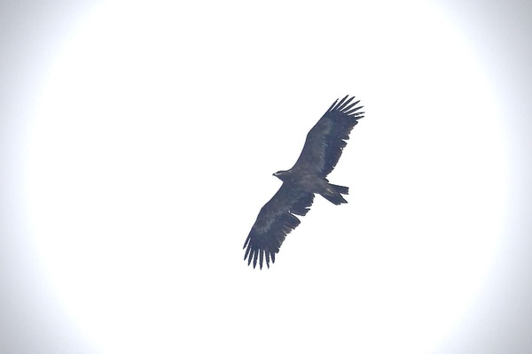 Photo credit: Swee Peng