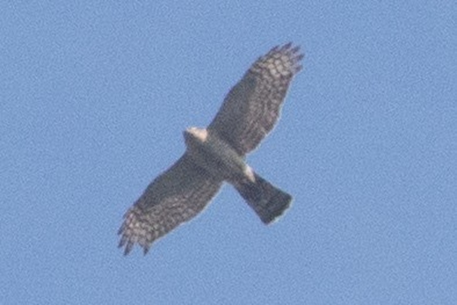 Photo credit: Okamoto Keita Sin