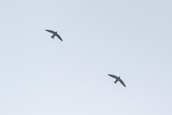 Photo credit: Ng Yan Ze