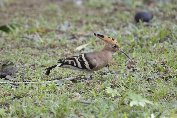 Photo credit: Mike Hooper