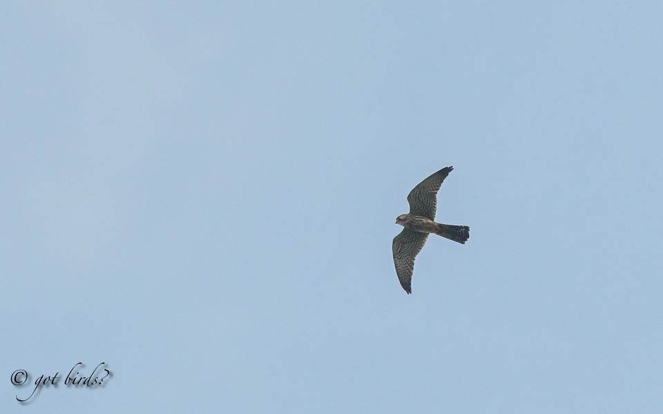 Photo credit: Zacc HD