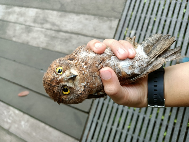 Photo credit: Lim Qian Xun