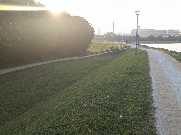 Photo credit: Raja Moorthy Karapaya