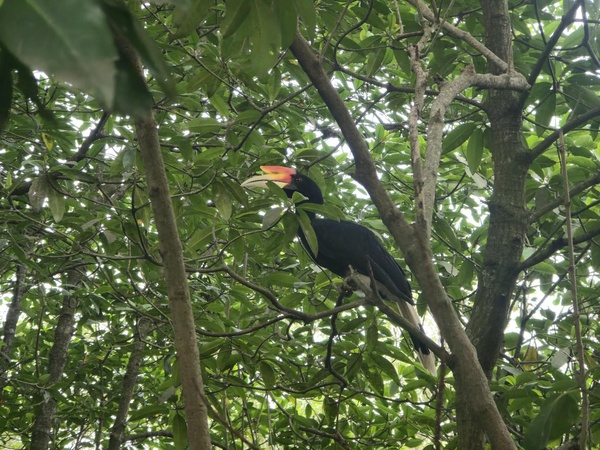 Photo credit: Liu Jia Yi